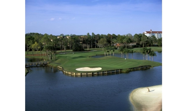 Big image hawks landing