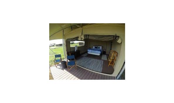 Big image flamingo adventures at everglades national park 1