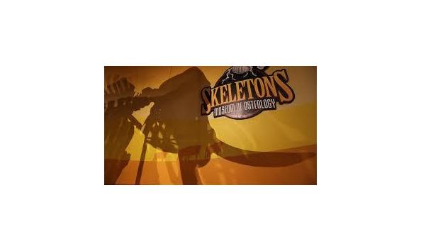 Big image icon orlando package  1