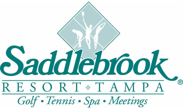 Big image saddlebrook logo