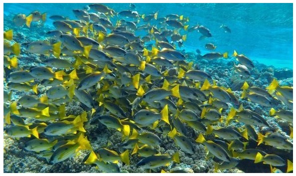 Big image mini magick20191213 42216 f3r17c