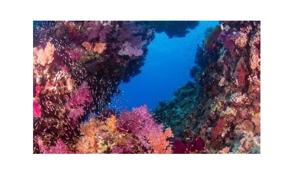 Big image mini magick20191213 42216 owr9dh