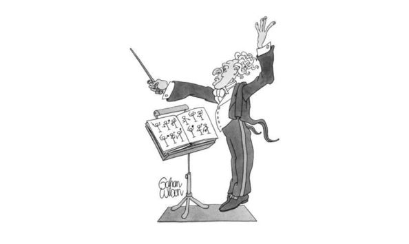 Big image  1 conductor