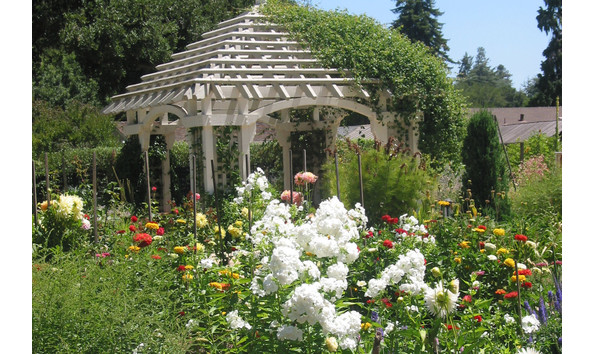 Big image gamblegarden