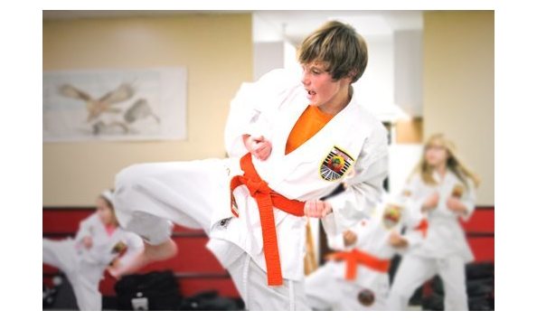 Big image usaselfdefense1