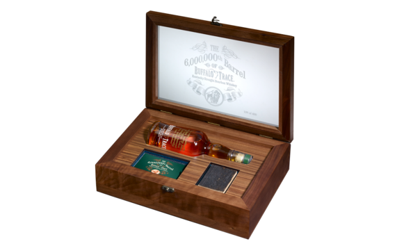 Organization Main Image