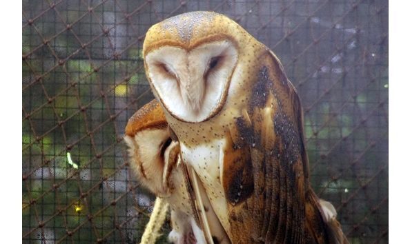 Big image mini magick20191218 109859 1lhvdt0