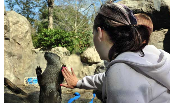 Big image 128 curiodyssey