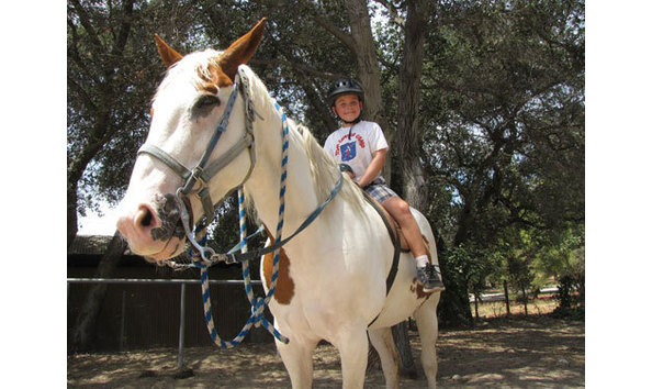 Big image mini magick20200103 53532 1iyze33