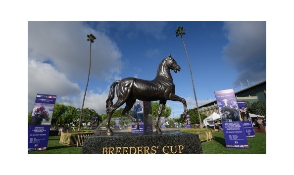 Big image mini magick20200103 53532 ga6b12