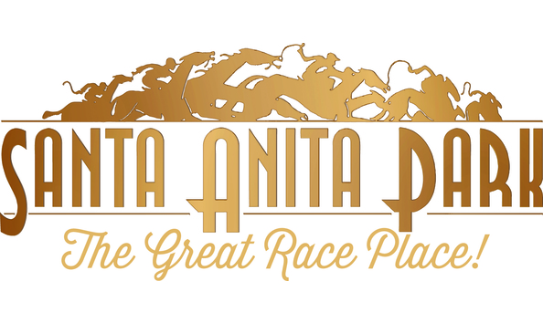 Big image mini magick20200111 65535 d57768