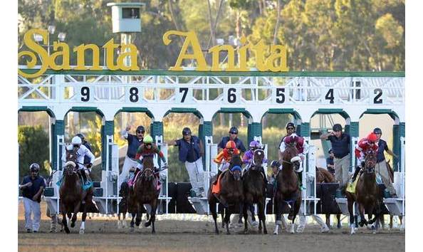 Big image mini magick20200111 65535 1qy4t2w