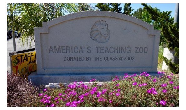 Big image mini magick20200111 65535 145hm69