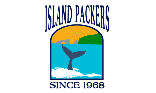 Big image mini magick20200111 65535 18xr31y