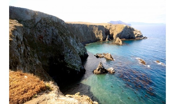 Big image mini magick20200111 65535 1lmvw0j