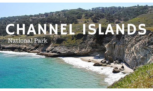 Big image mini magick20200111 65535 piiin9