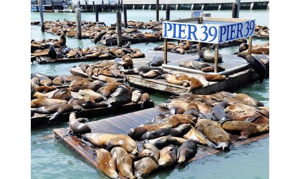 Big image mini magick20200111 65535 1t9tgh6