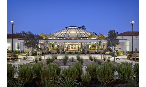 Big image mini magick20200111 65535 tkx4ng