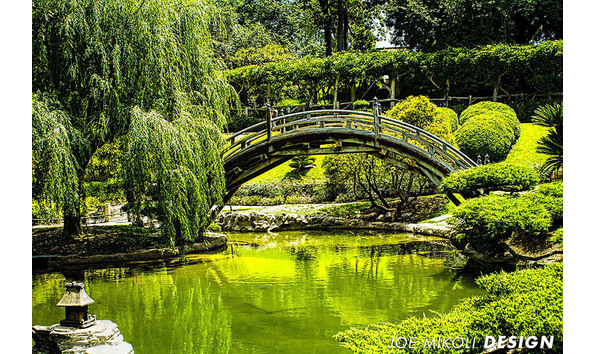 Big image mini magick20200111 65535 a026i6