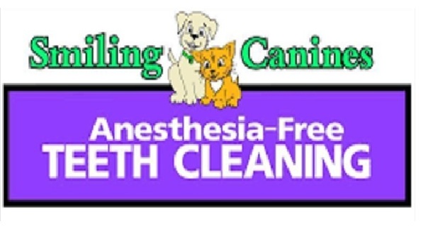 Big image mini magick20200111 65535 1yy1x4o