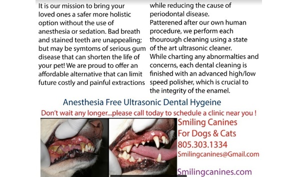 Big image mini magick20200111 65535 15j8i38