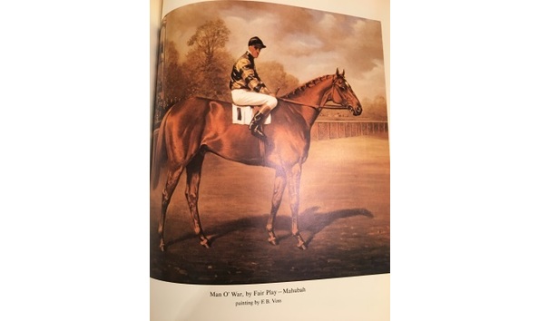 Big image img 9785 2