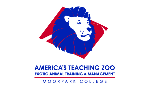 Big image mini magick20200113 41042 c5tx75