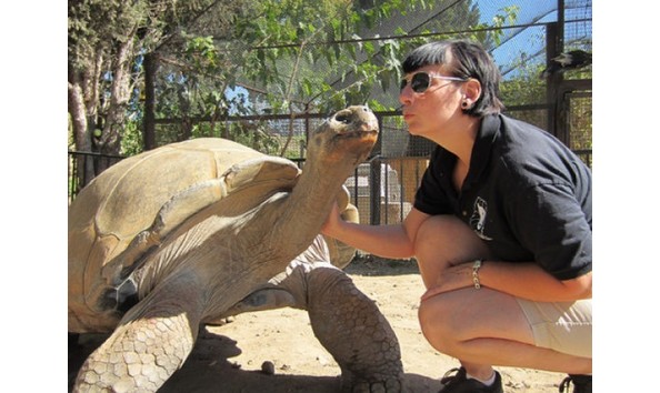 Big image mini magick20200113 41042 gb7c5x