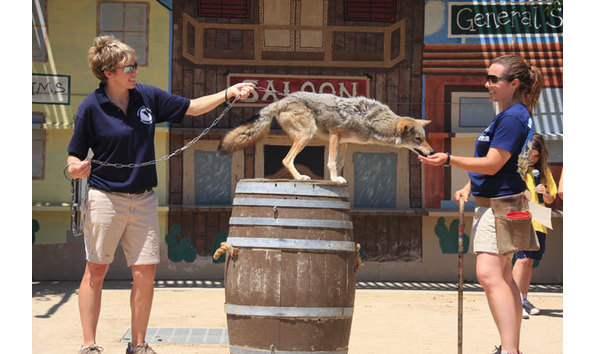 Big image mini magick20200113 41042 10bd4ln