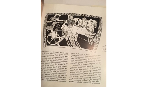 Big image img 9792 2