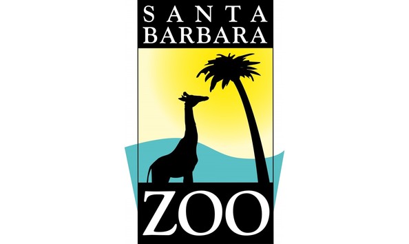 Big image 7706c459 e098 44c4 973b 559d3991a2f4