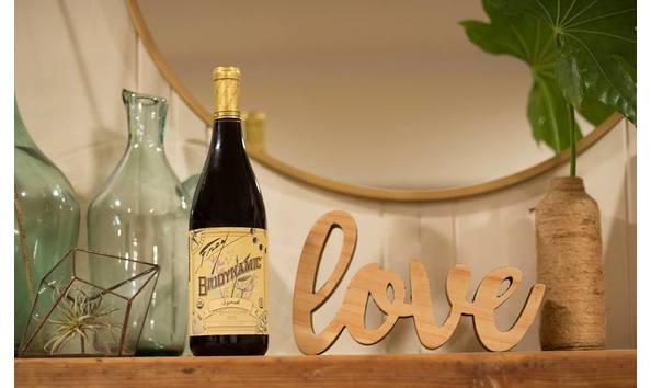 Big image mini magick20200120 13139 1b5hvho