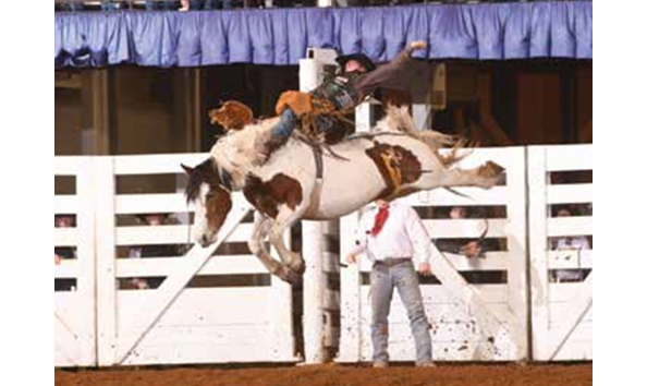 Big image mini magick20200123 5052 o9kbjd