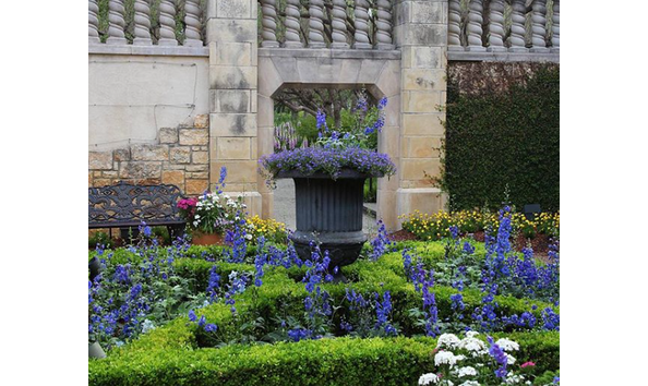 Big image mini magick20200123 5052 1sdnops