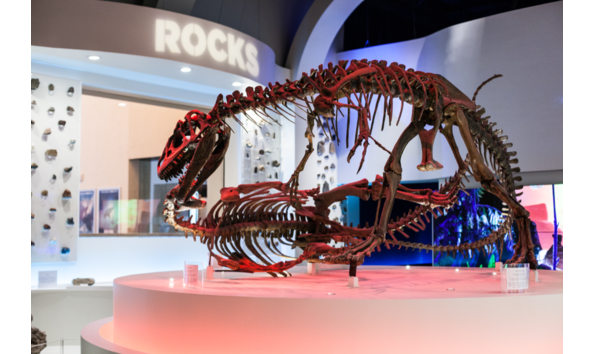 Big image mini magick20200123 5052 13izkv5