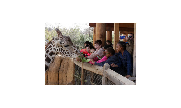 Big image mini magick20200123 5052 1bp0xy7