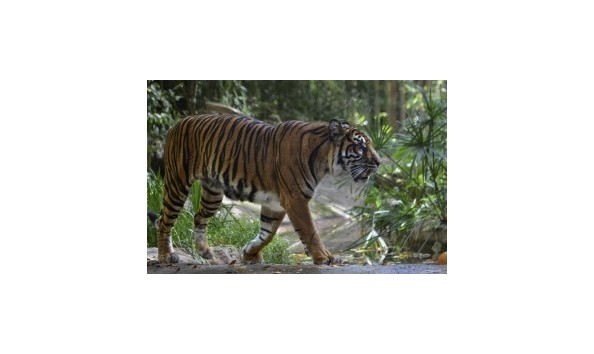 Big image mini magick20200123 5052 5027wt