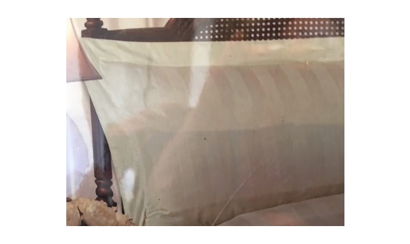 Big image img 9837 2