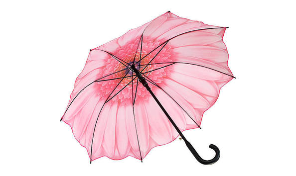 Big image  120 umbrella 2