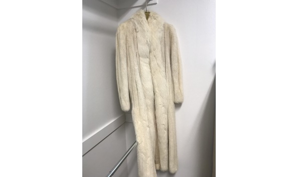 Big image mink front