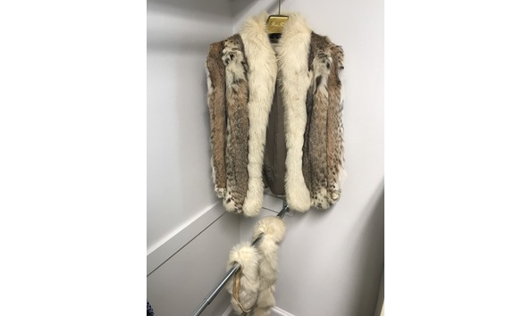 Big image lynx front