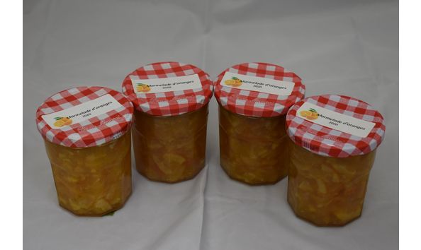 Big image mini magick20200207 85324 gflr59