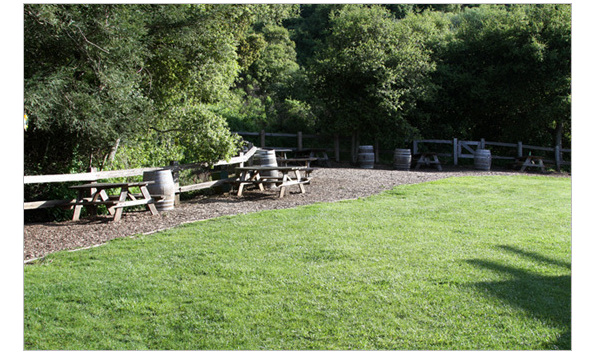 Big image mini magick20200207 85324 1kg4s24