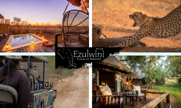 Big image silent auction  1 