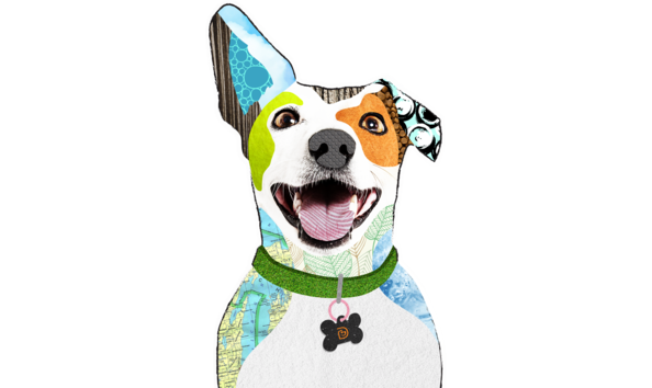 Big image dogtopia mage002