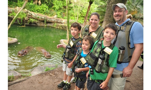 Big image image asset