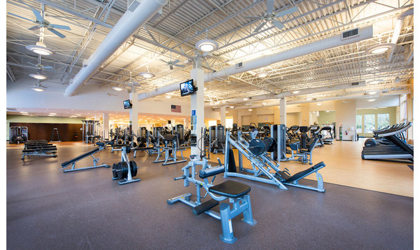 Big image schenkelshultz dpymca 05