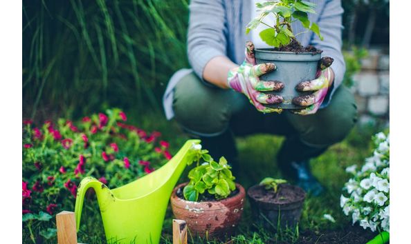 Big image proud gardener 539829042 58ba31d13df78c353ca93275