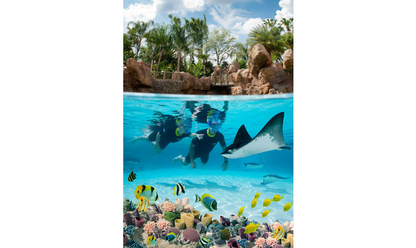 Big image discovery cove thegrandreef snorkel 1