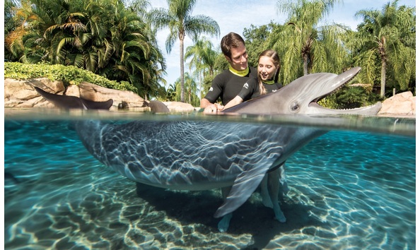 Big image dco 15 dolphindaddaughter 4h8a3990